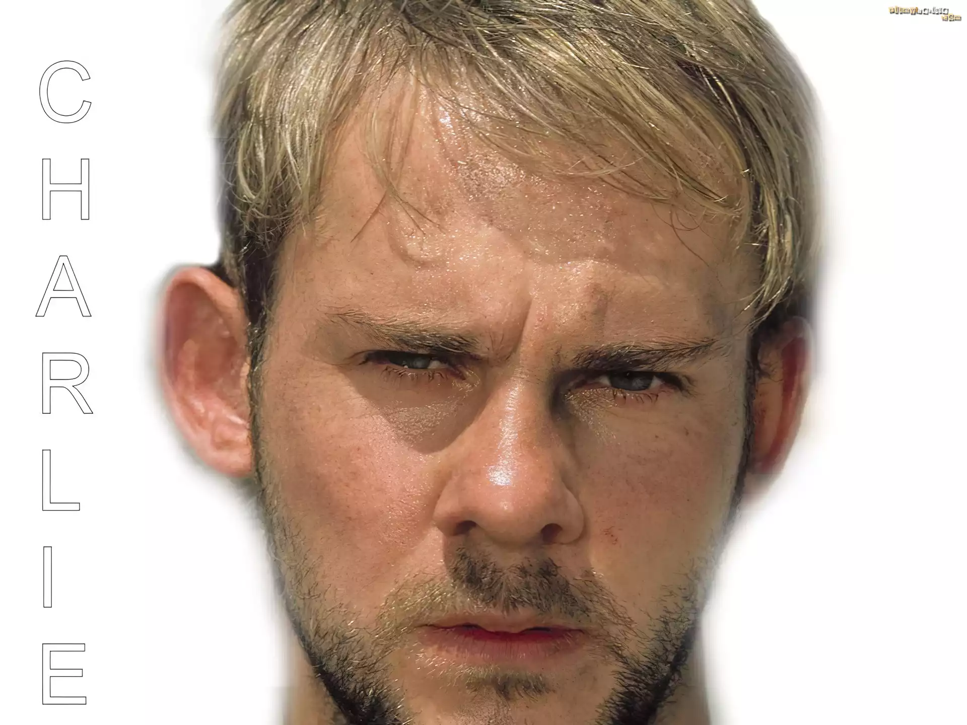 Serial, Zagubieni, Lost, Dominic Monaghan, twarz