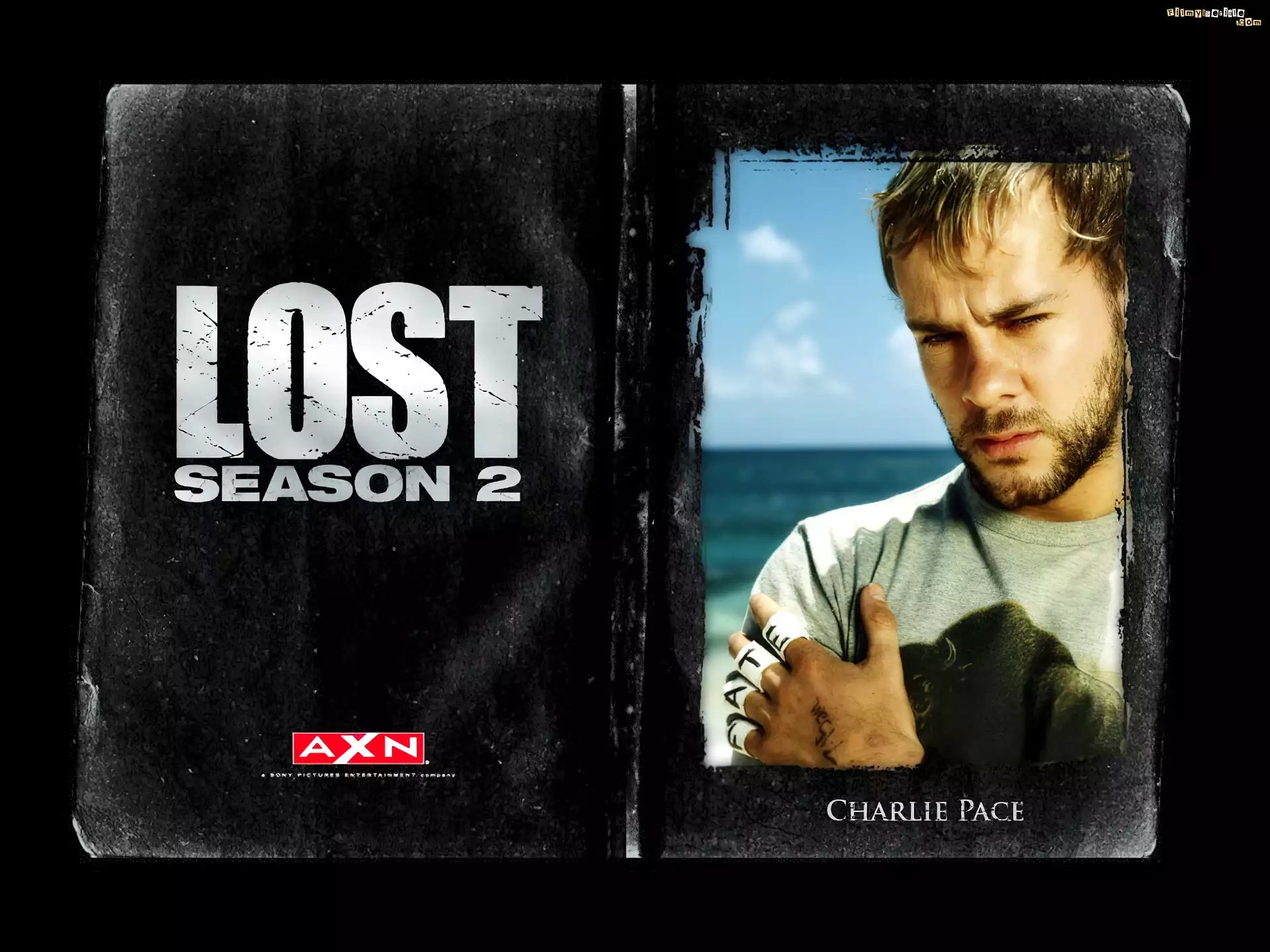 Filmy Lost, Dominic Monaghan, plastry, zdjęcie
