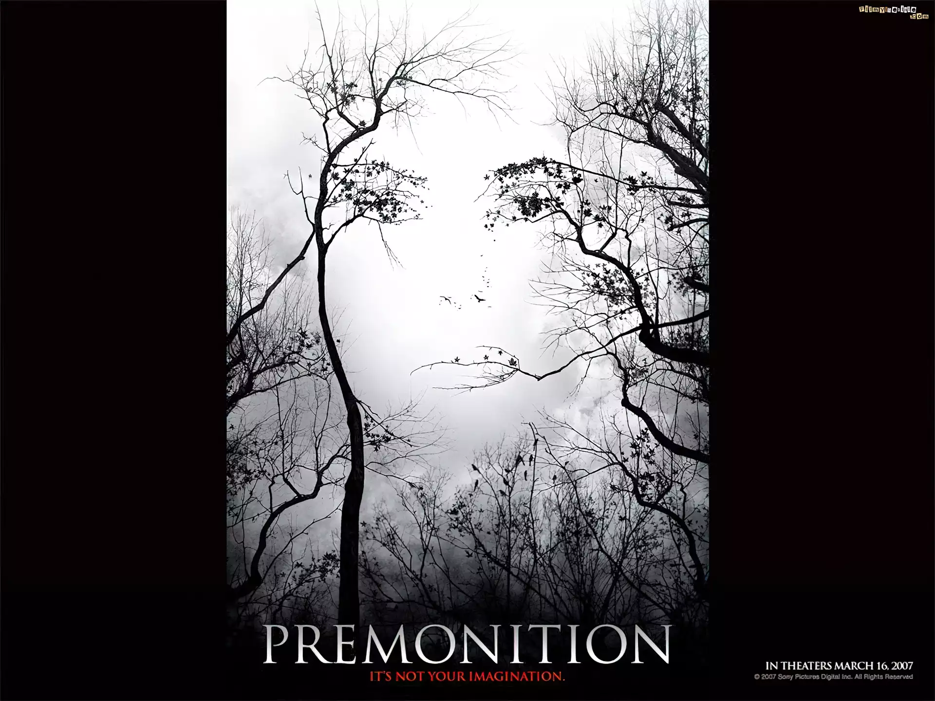 Premonition, gałęzie, twarz
