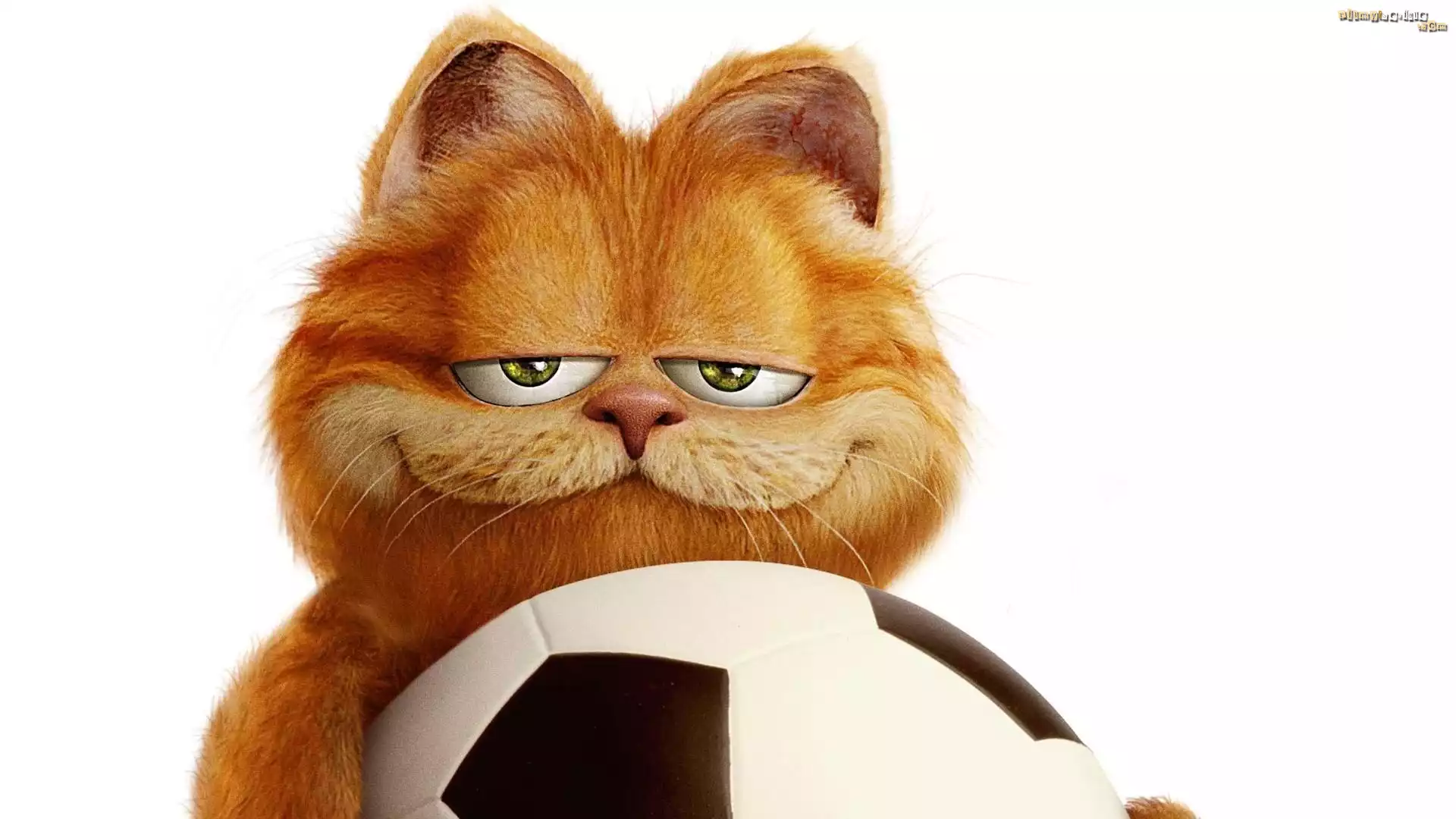 Garfield, Piłka