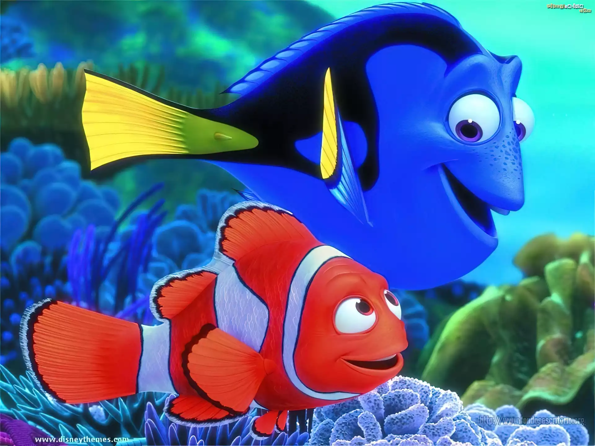 Gdzie jest Nemo, Finding Nemo, Dwie, Rybki
