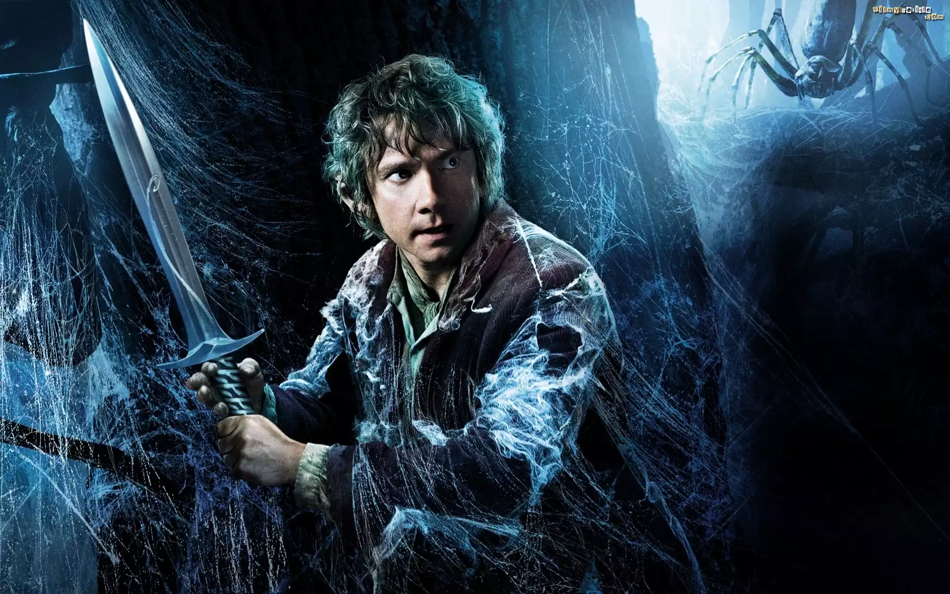 Hobbit: Pustkowie Smauga, The Hobbit: The Desolation of Smaug, Martin Freeman, Bilbo Baggins, Miecz, Pajęczyna