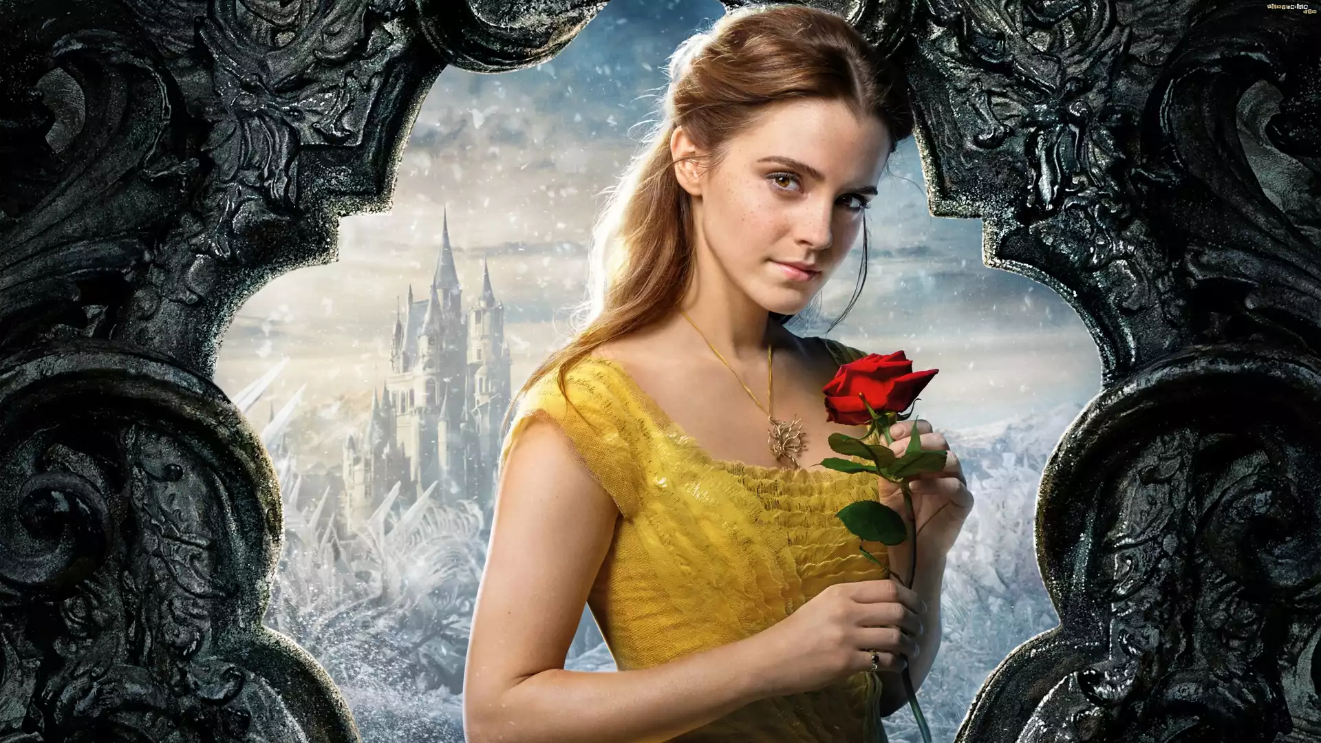Aktorka, Emma Watson, Film, Piękna i Bestia, Beauty and the Beast, Róża