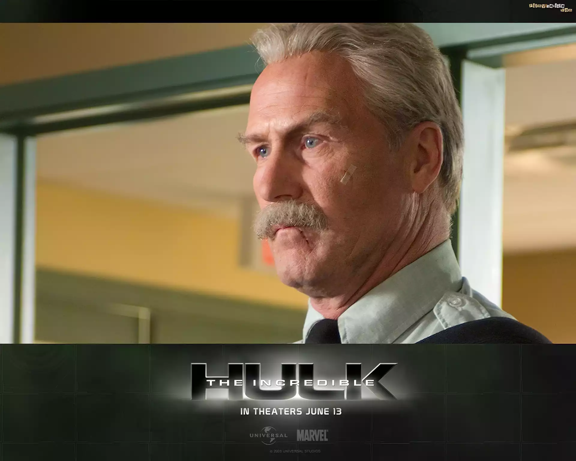 The Incredible Hulk, William Hurt, wÄ…s, twarz