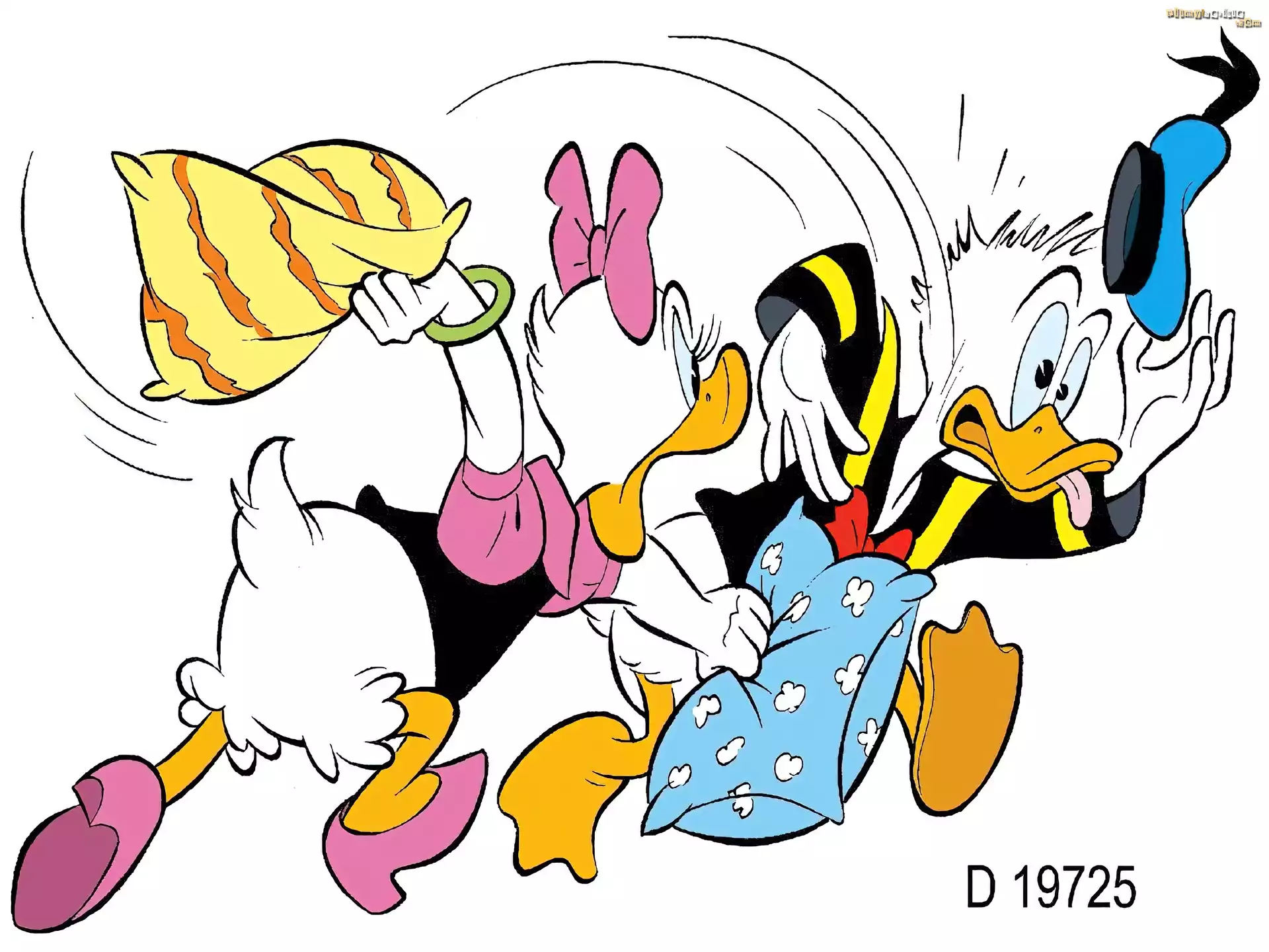 Kaczor Donald, poduszki, bitwa
