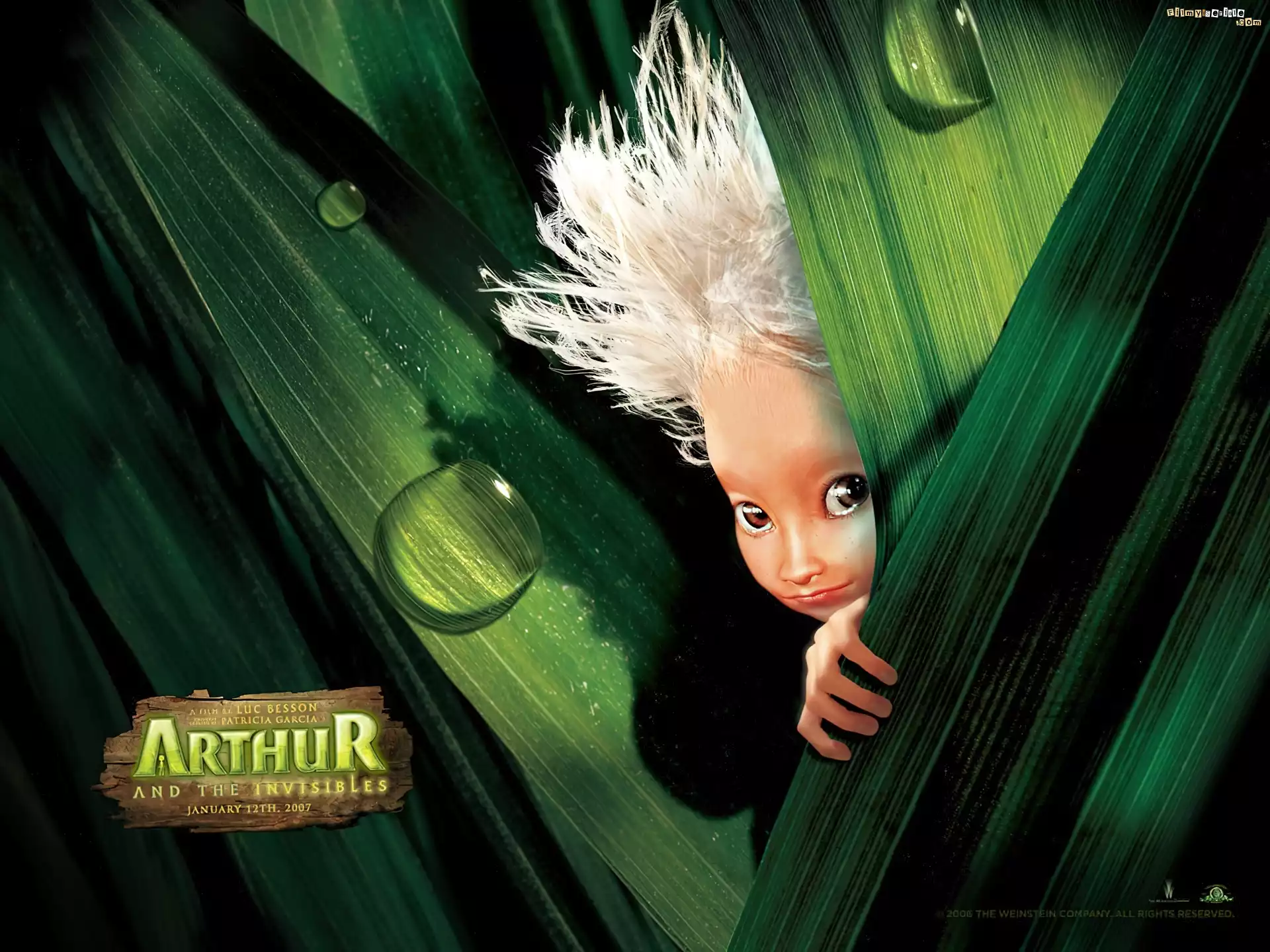 liście, krople, Artur i Minimki, Arthur and the Invisibles