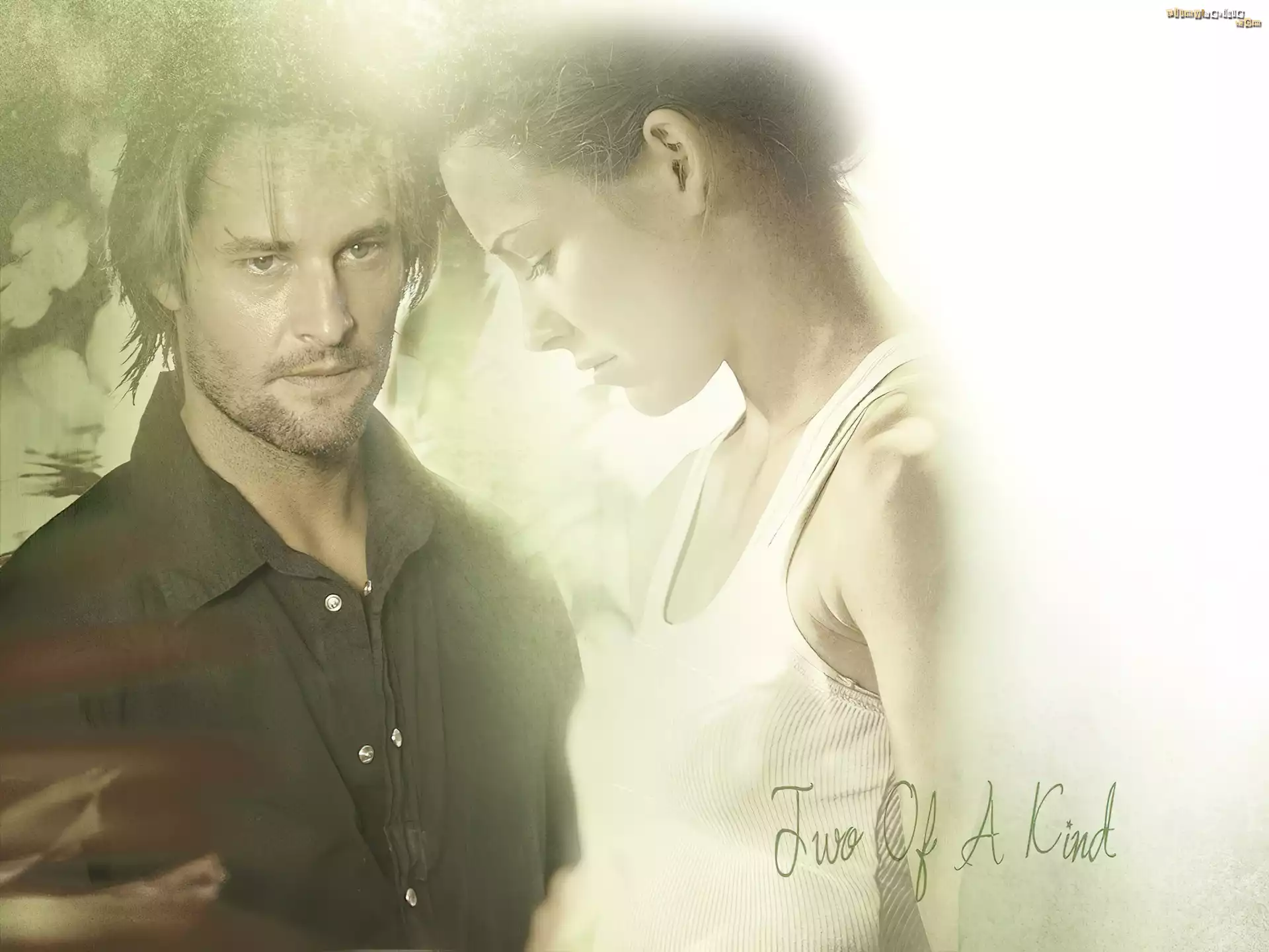 Serial, Lost, Zagubieni, Josh Holloway, Evangeline Lilly, jasne, tło