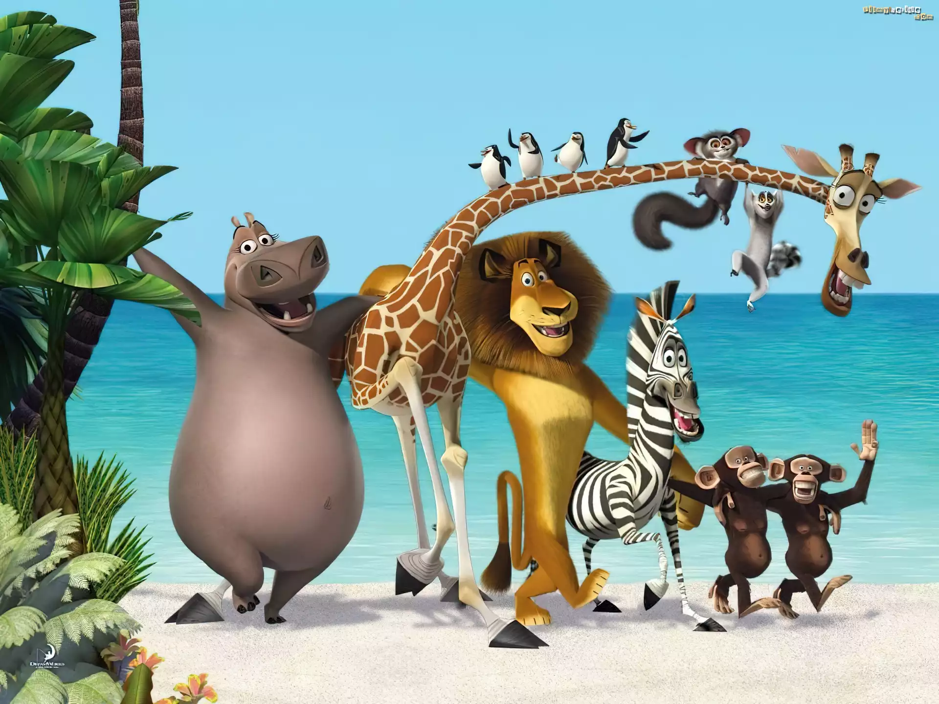 Madagaskar 2