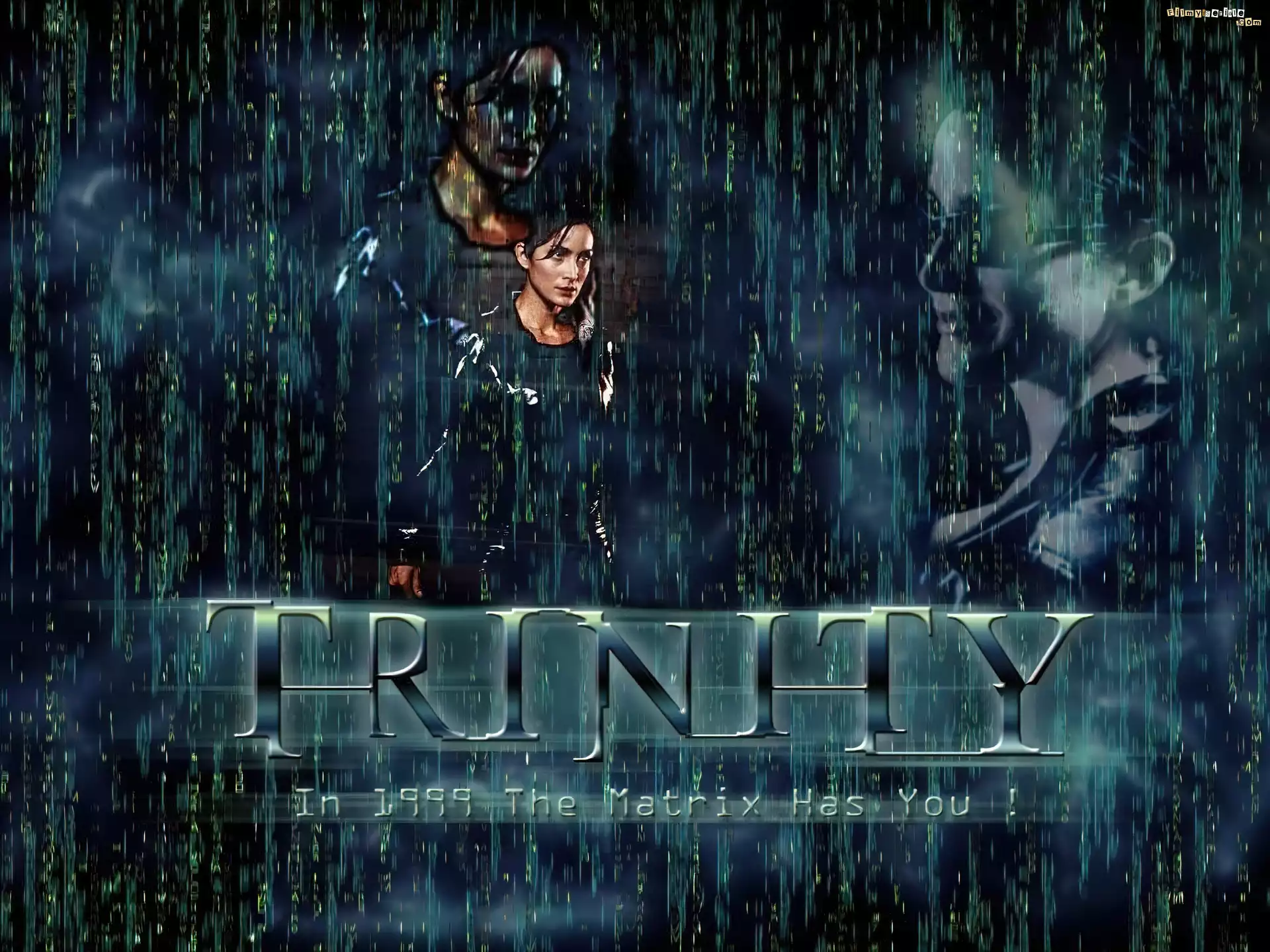 Matrix, Aktorka, Carrie Anne Moss