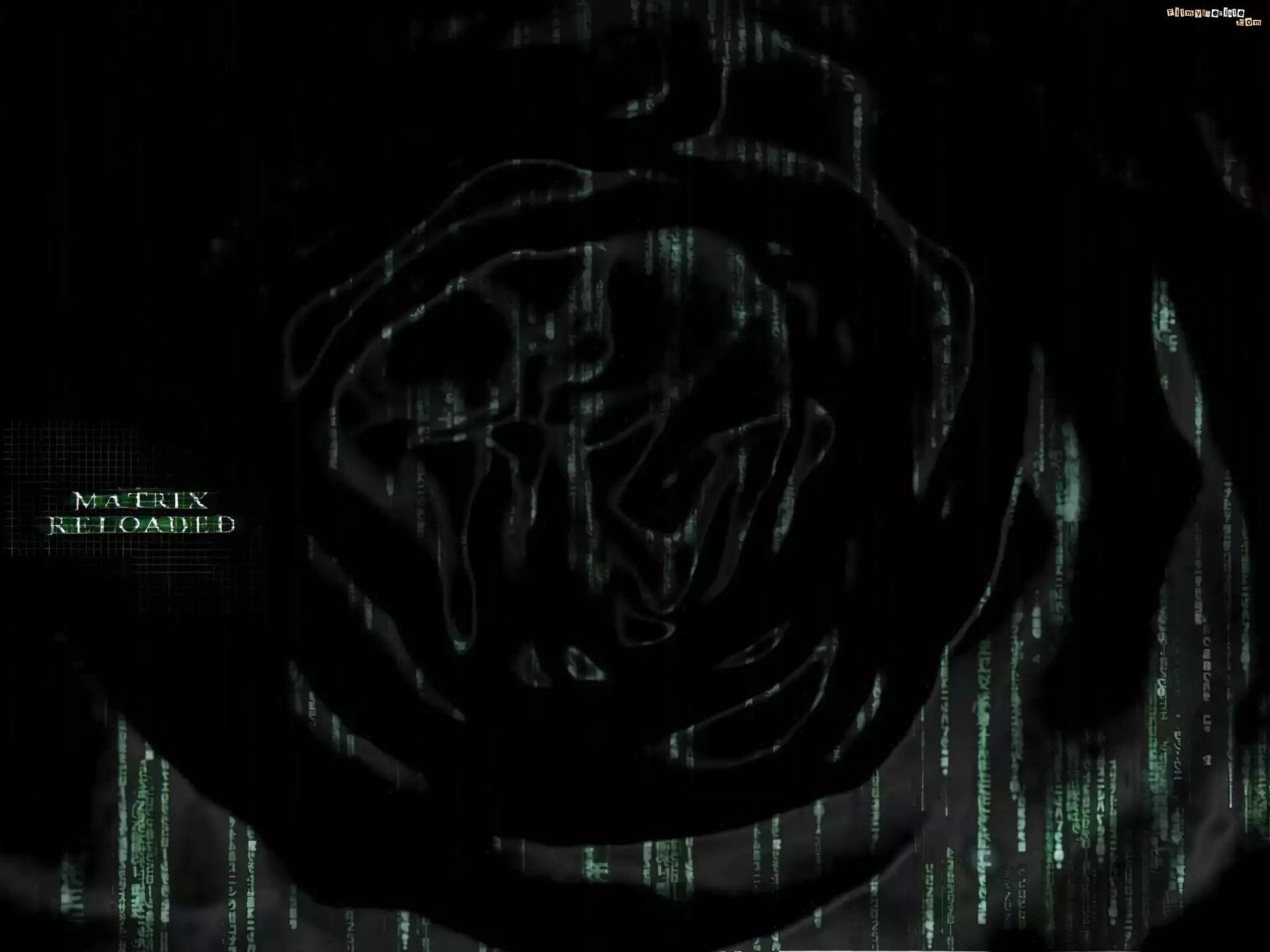 Matrix, czarne, plamy, napis