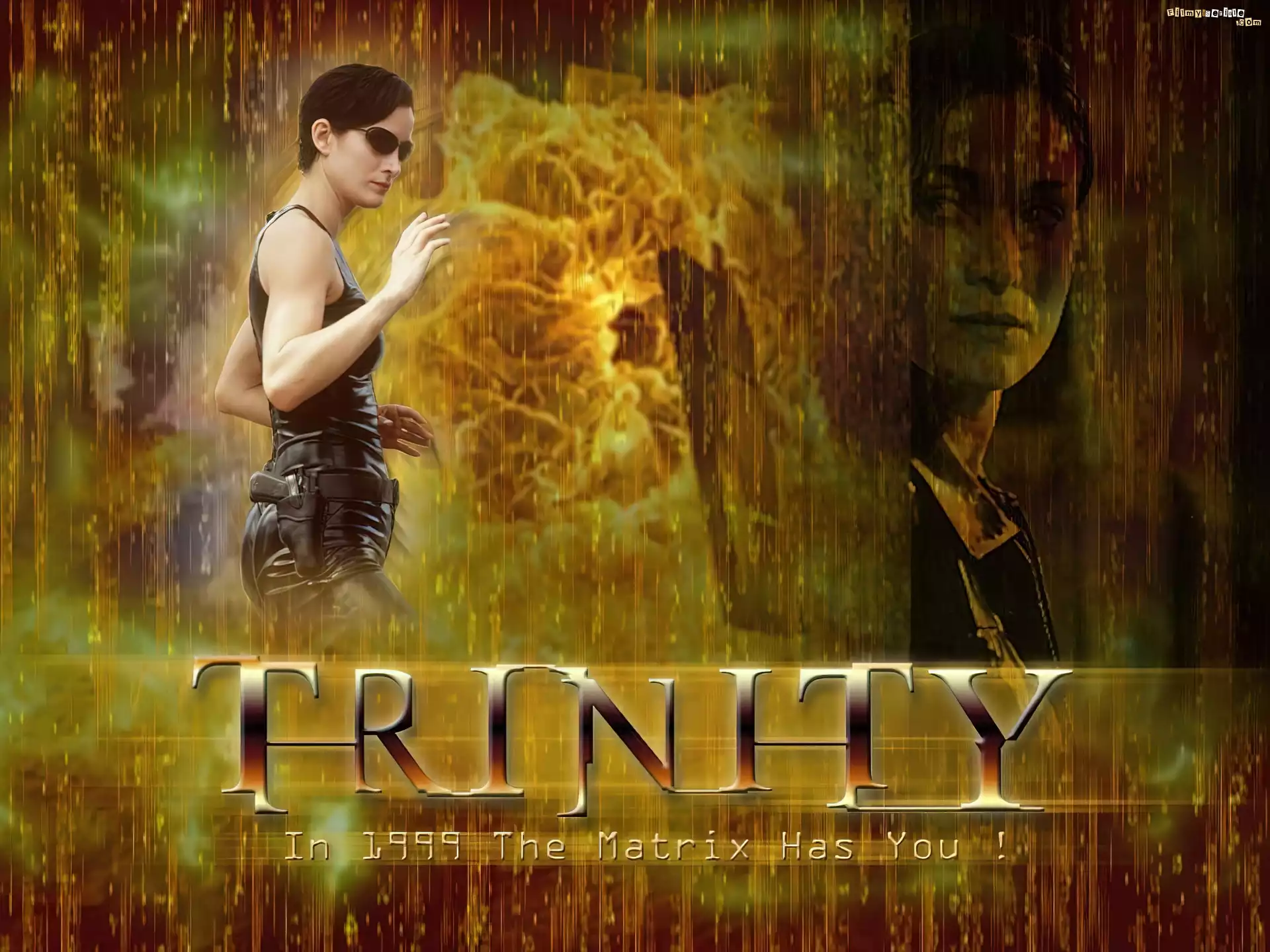 Matrix, Trinity