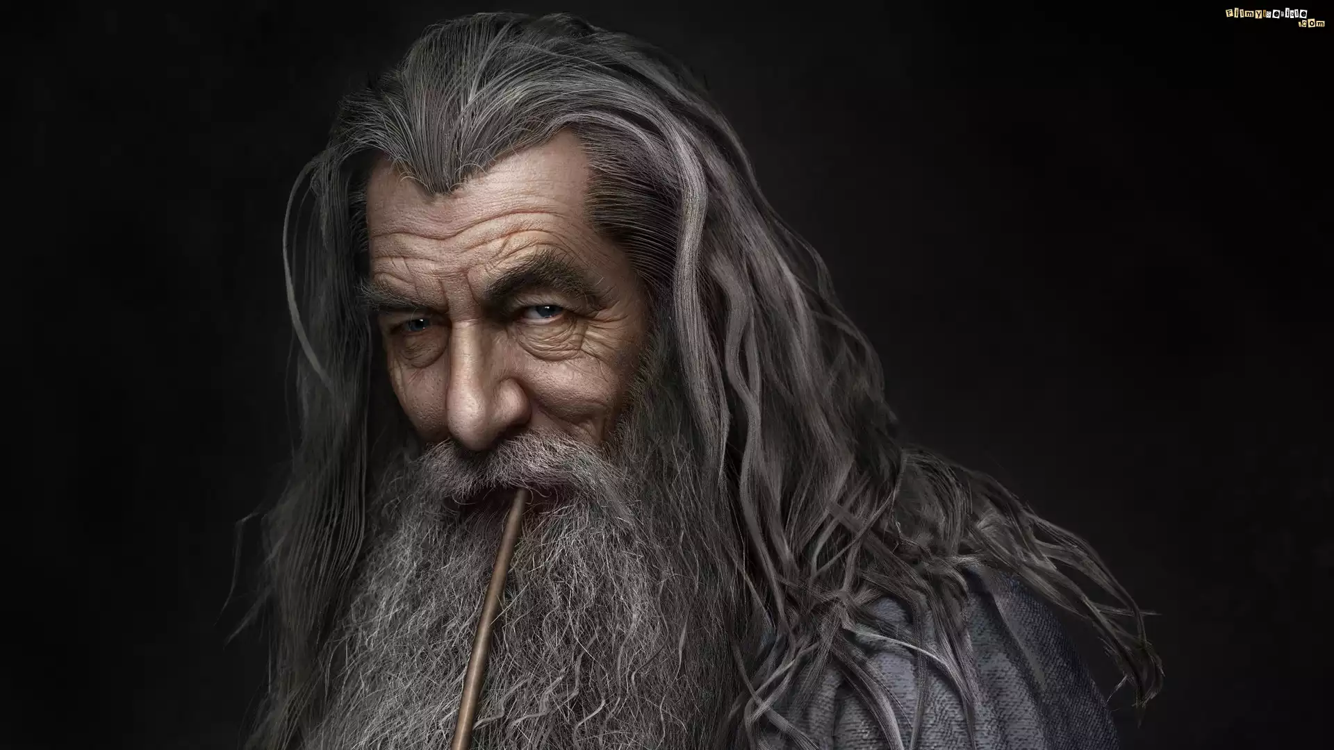 Ian McKellen, Czarodziej, Gandalf Szary, Twarz, Portret, Hobbit