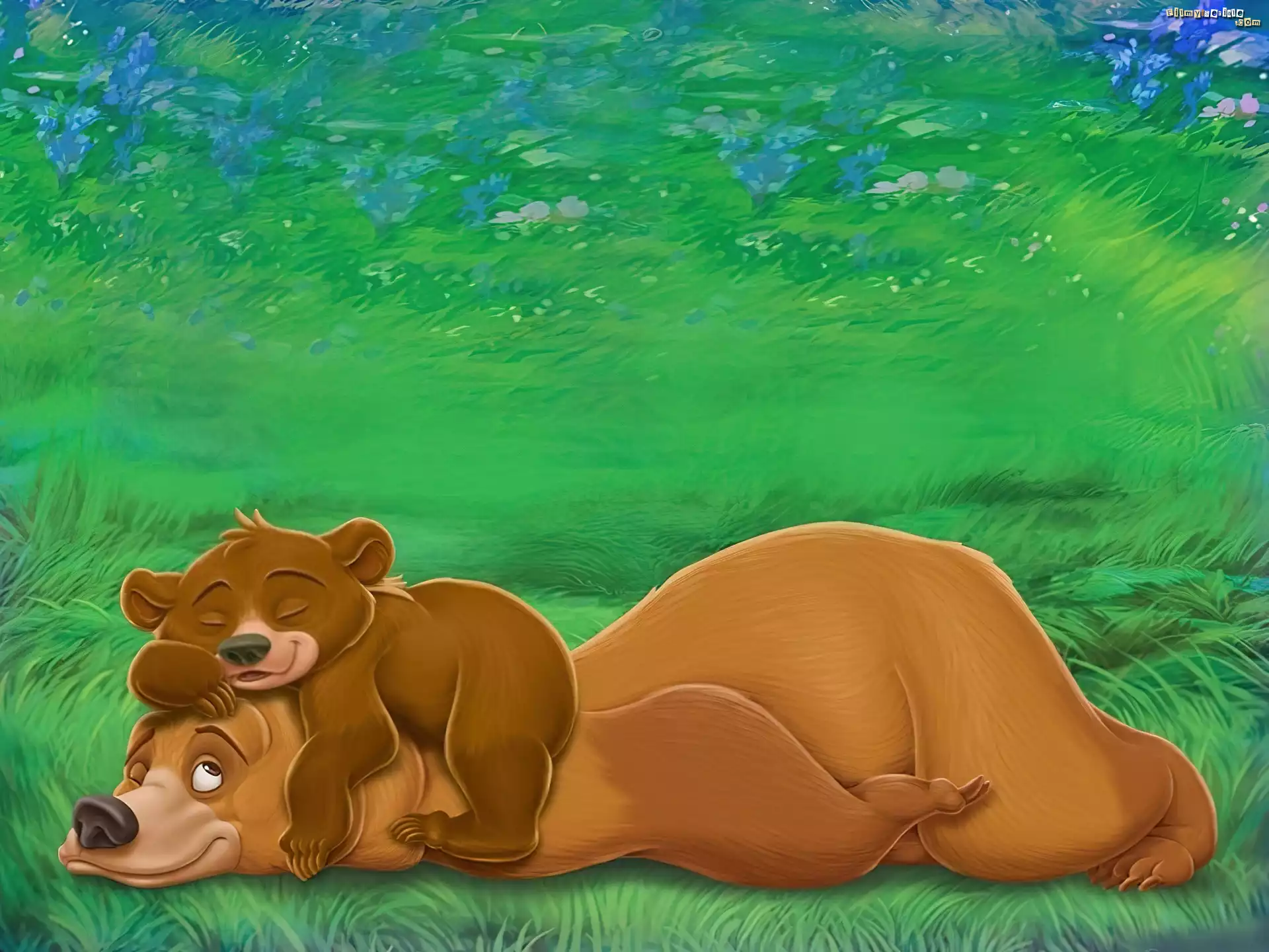 Mój brat niedźwiedź, Brother Bear, Misie, Odpoczynek