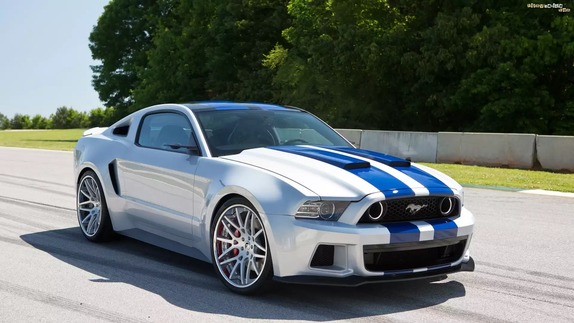 Film, Need for Speed, Ford Mustang GT, Shelby