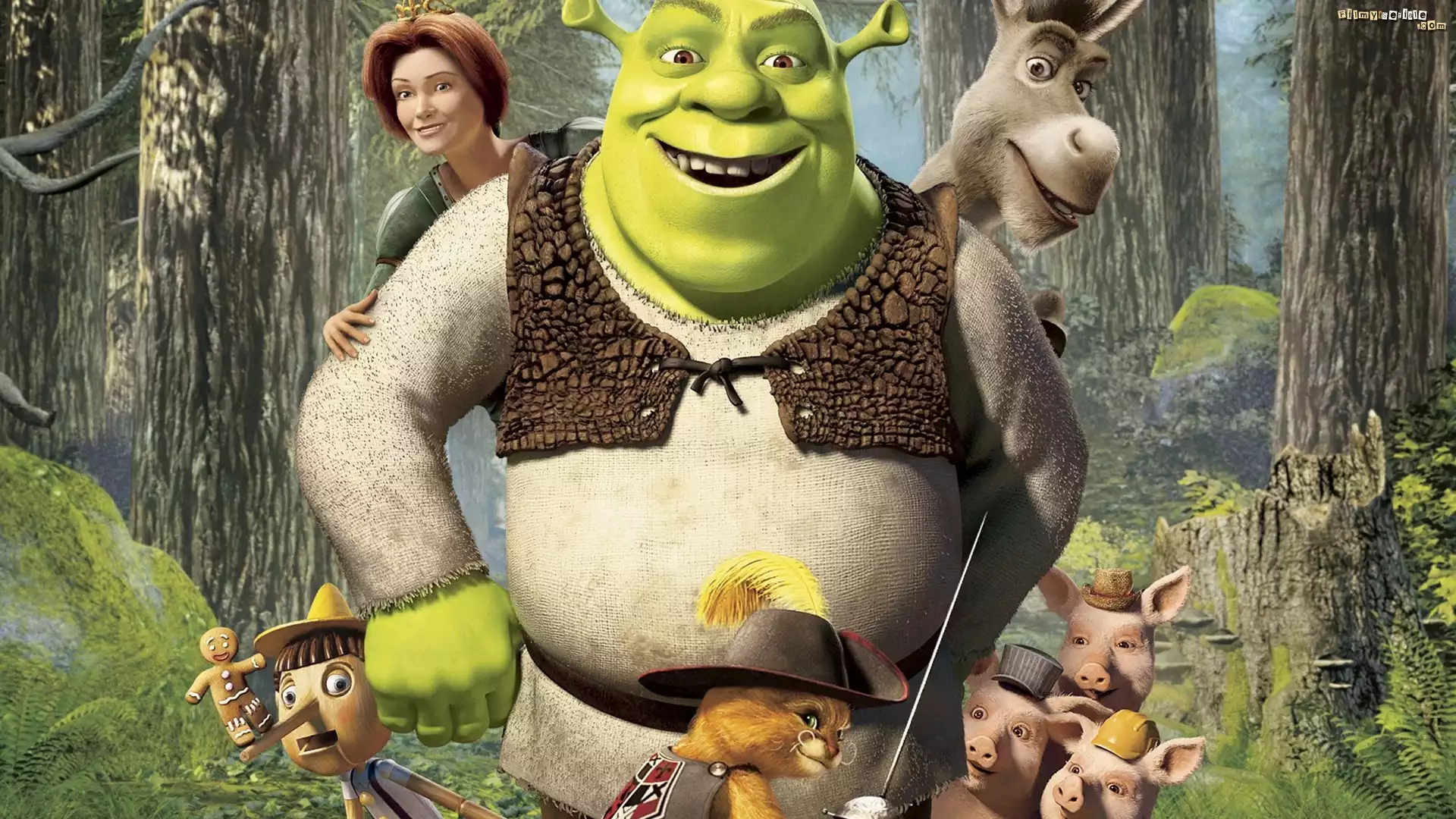 Shrek, Osioł, Fiona, Pinokio, Ciastek, Kot, Świnki, Las