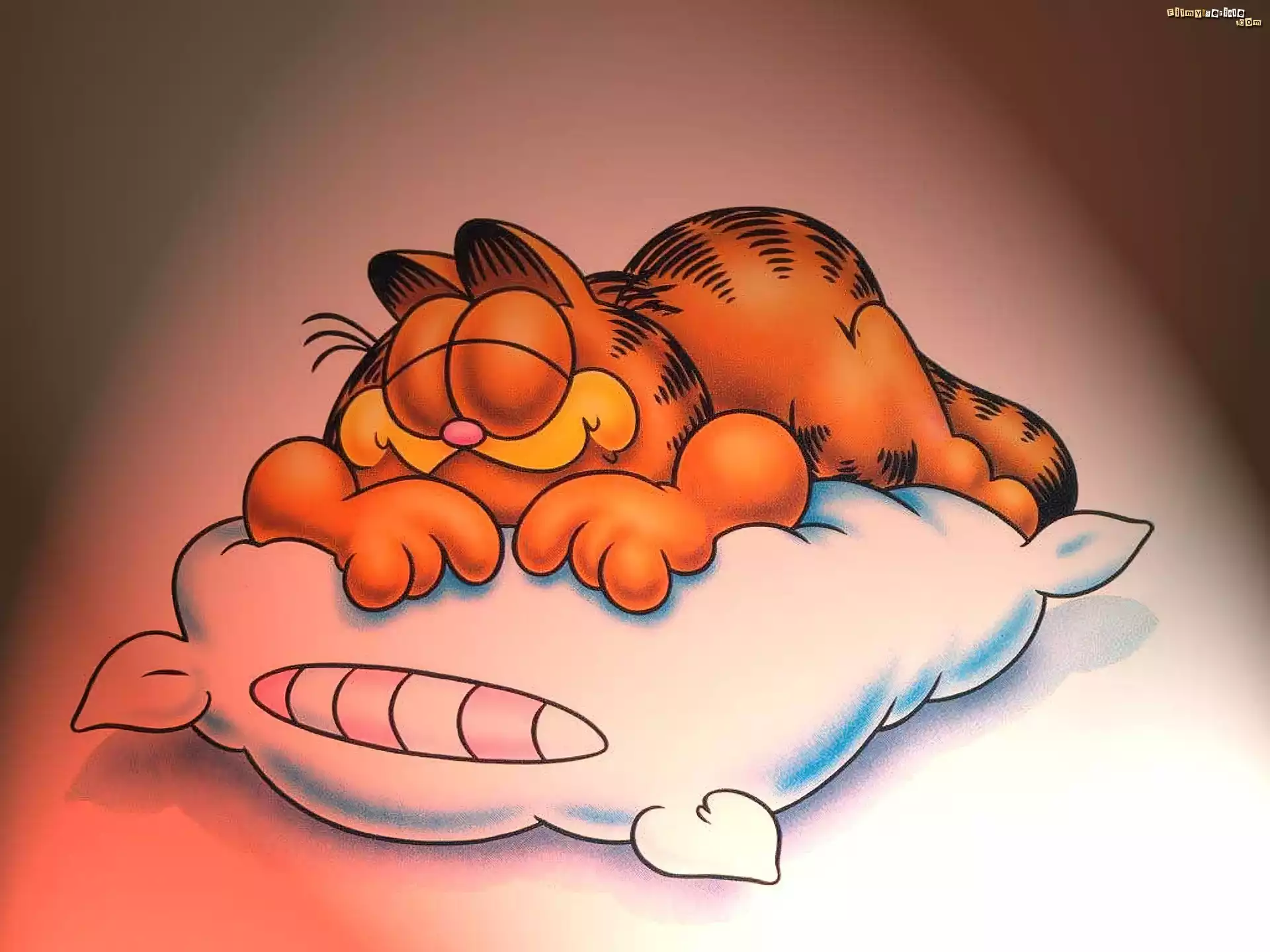 Poduszka, ÅšpiÄ…cy, Garfield