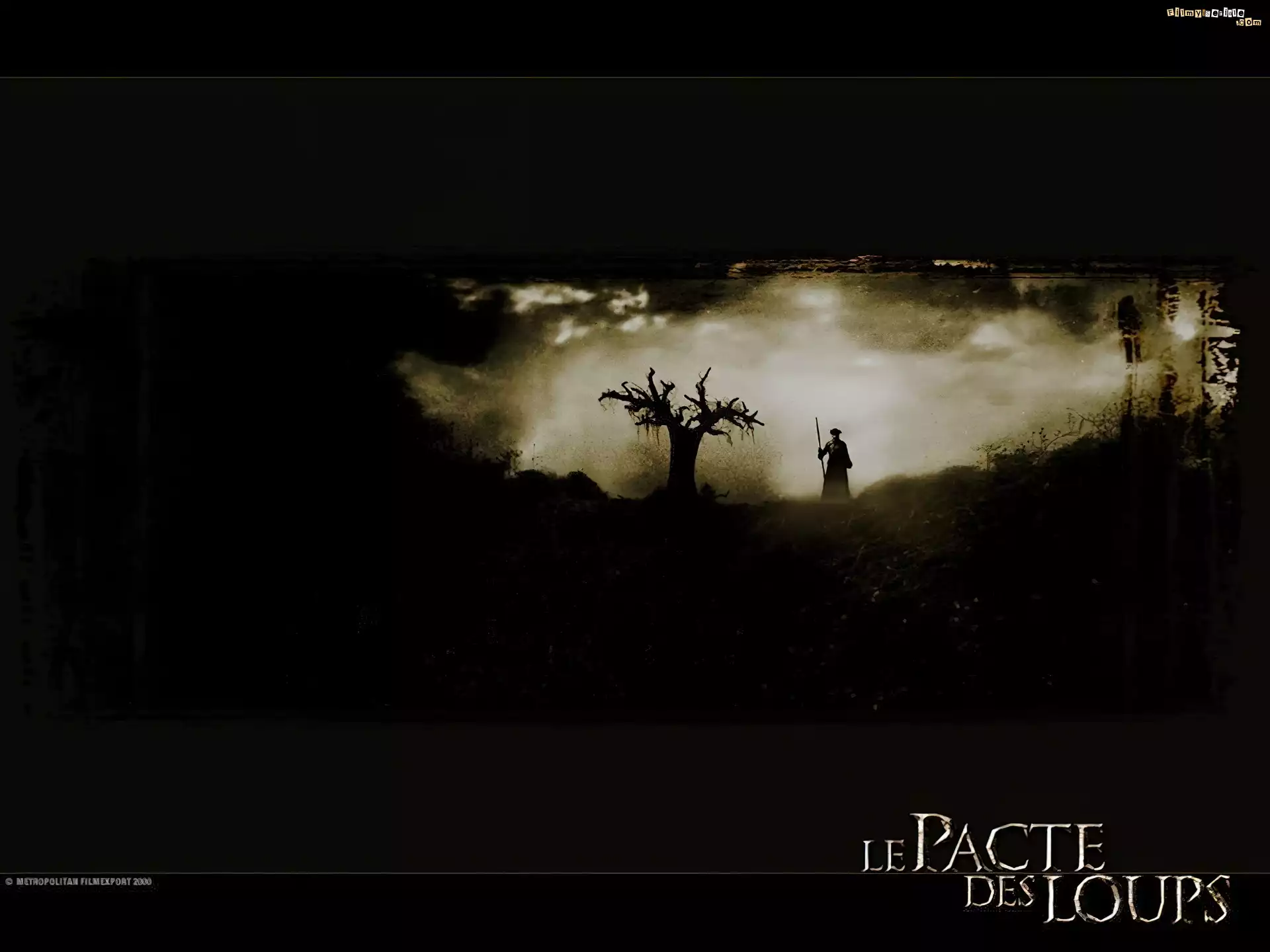 mgła, postać, drzewo, Brotherhood Of The Wolf
