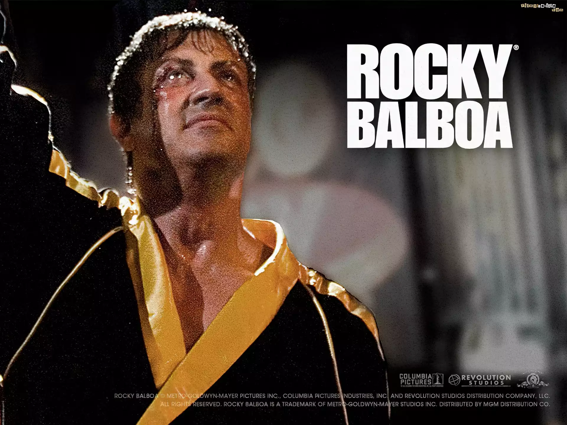 Rocky Balboa, Sylvester Stallone, szlafrok