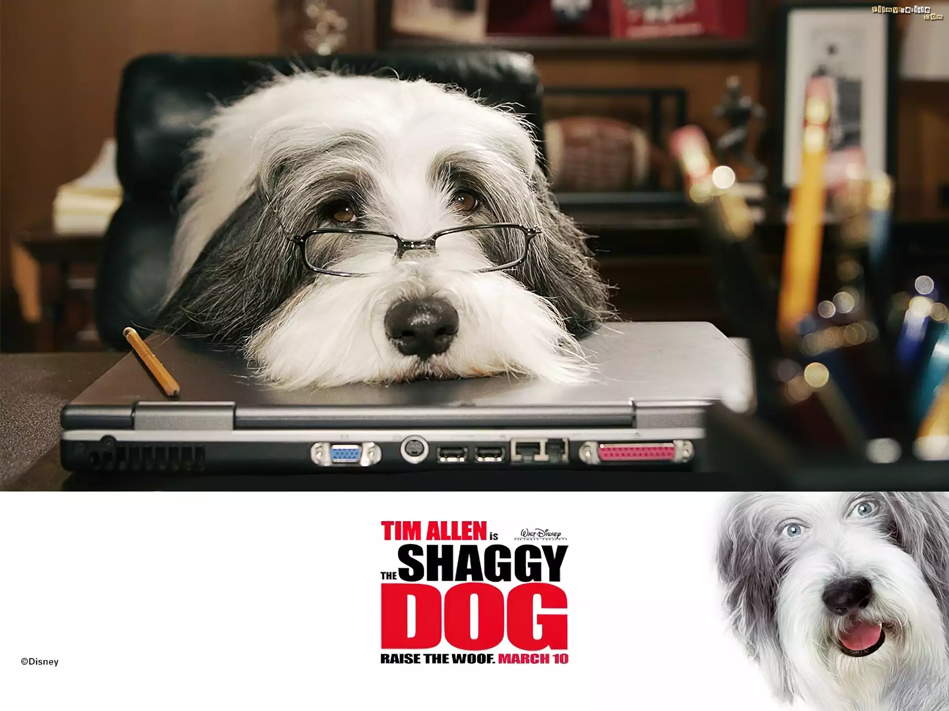 The Shaggy Dog, pies, okulary, komputer, biuro