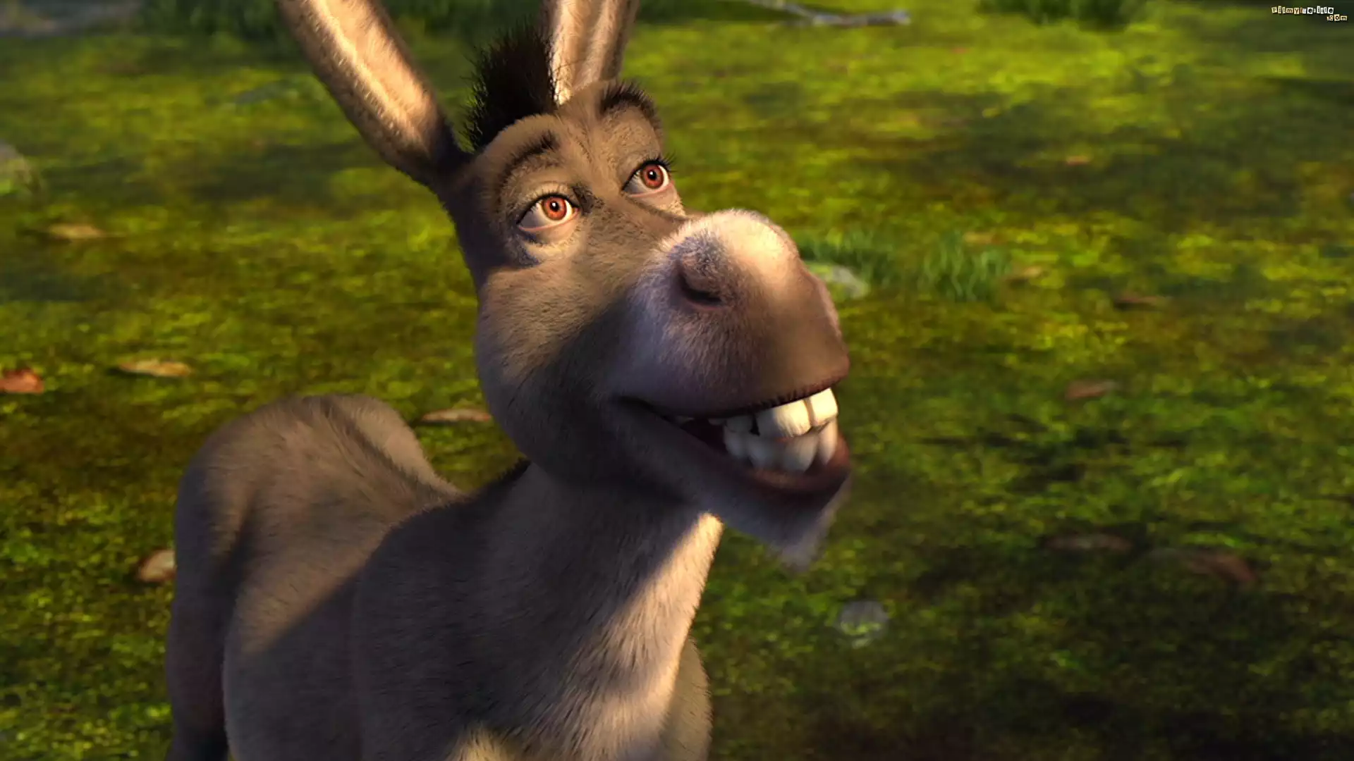 Osioł, Shrek, Bajka