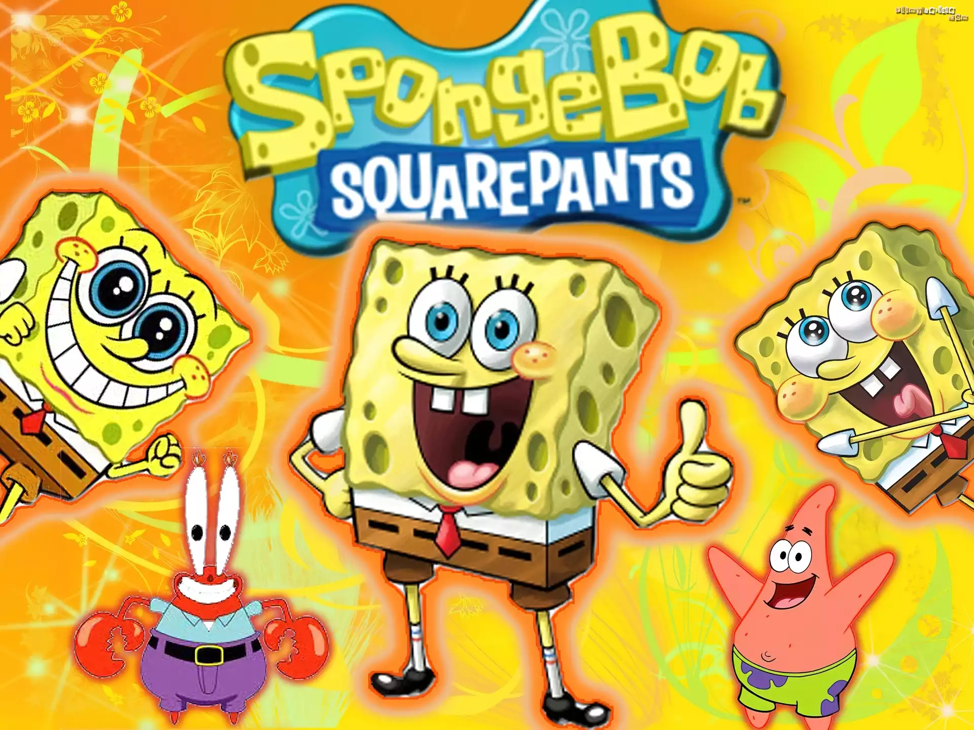 Spongebob, Kanciastoporty