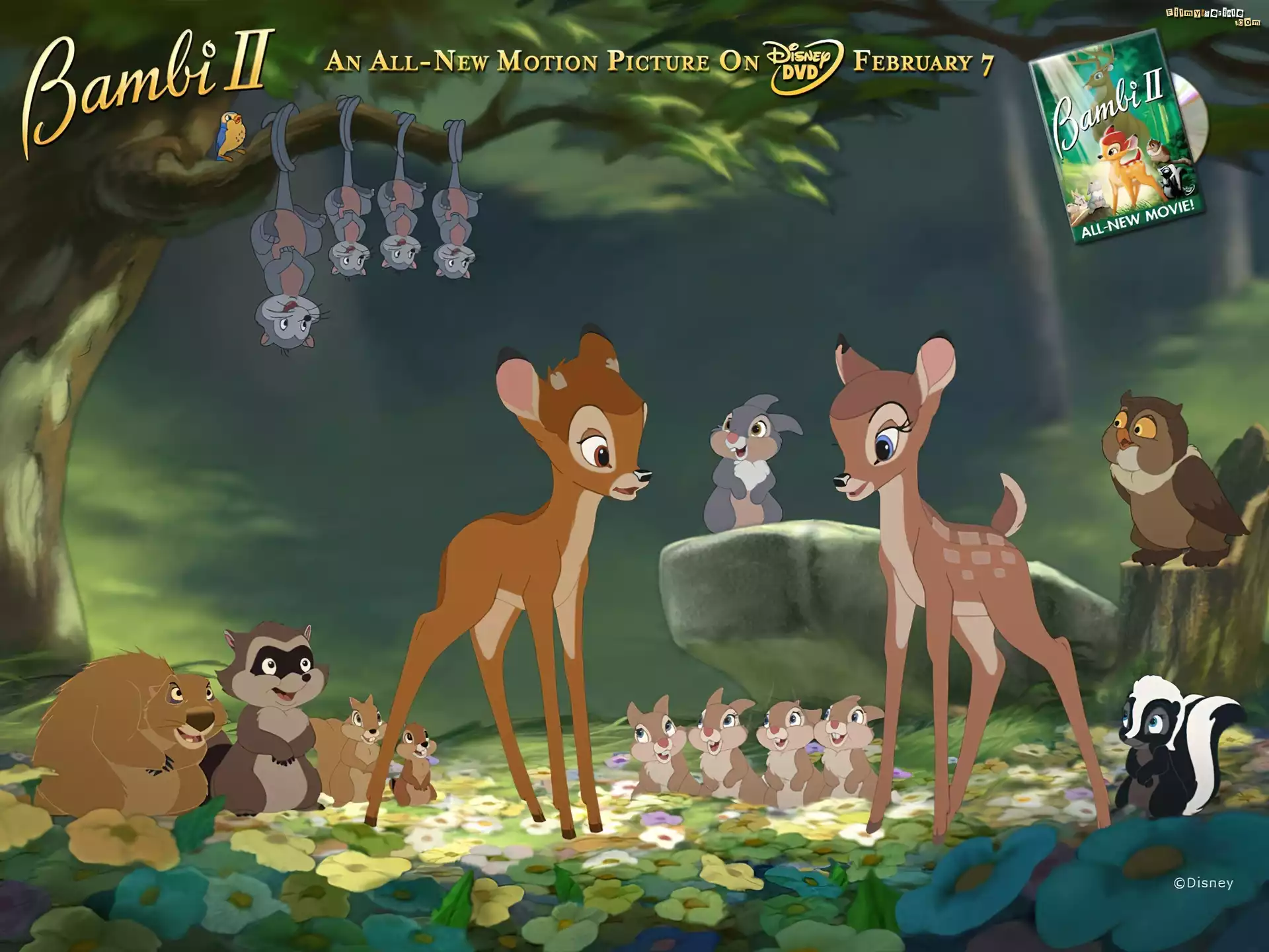 zwierzęta, leśne, Bambi 2